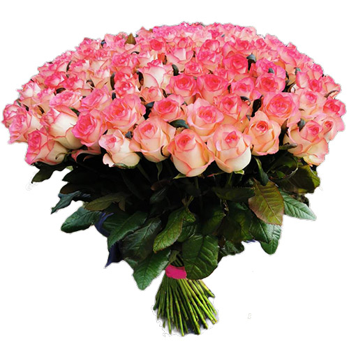 Фото товара Букет троянд 101 Джамілія з категорії найбільш шикарних букетів  в Самборі